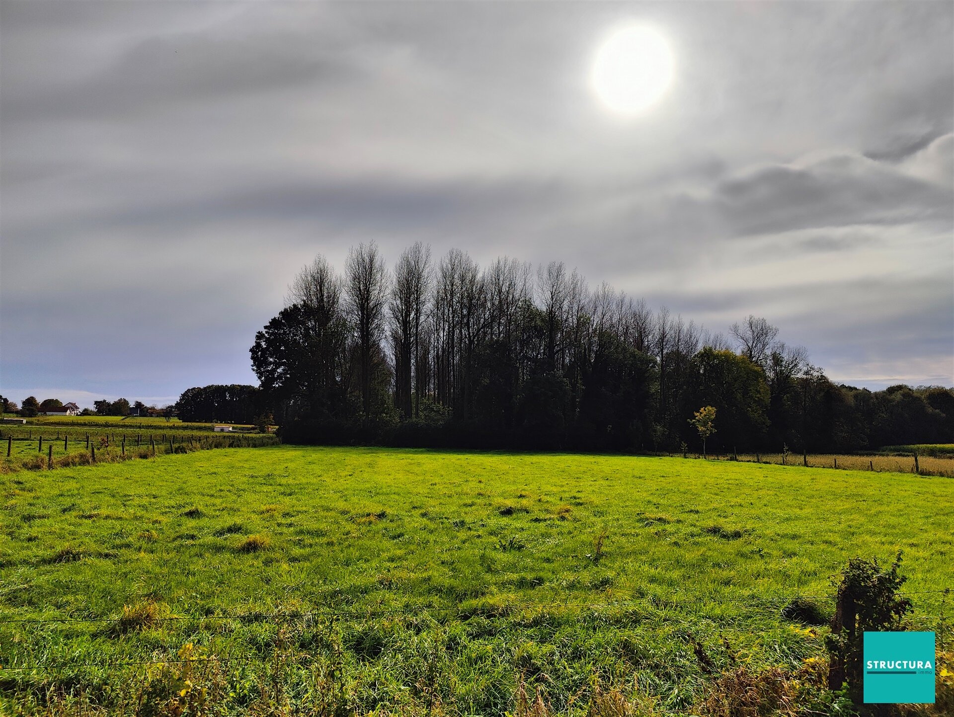 Bos te koop in OPWIJK