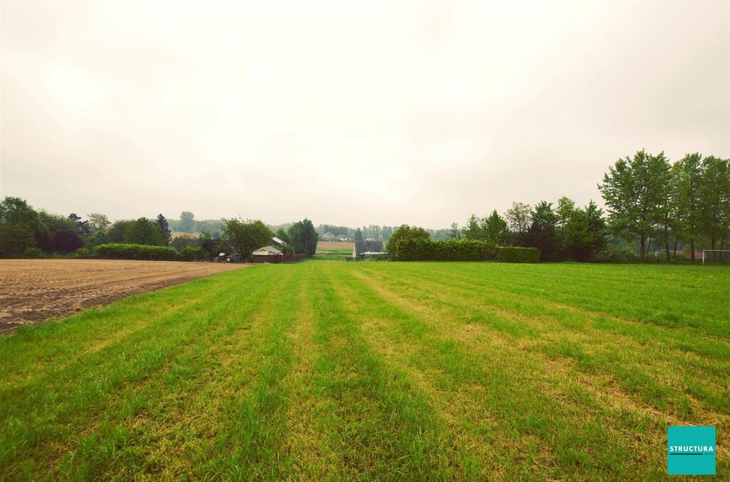 Bouwgrond te koop in BEKKERZEEL