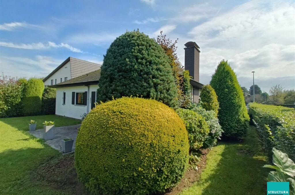 Maison à louer à HAMME